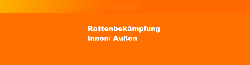 Rattenbekämpfung Innen/ Außen 1-4 Behandlungen je Variante inkl. Material/ Präparate & Köderstationen