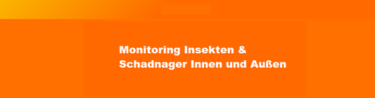 Monitoring Insekten & Schadnager für Innen und Außen